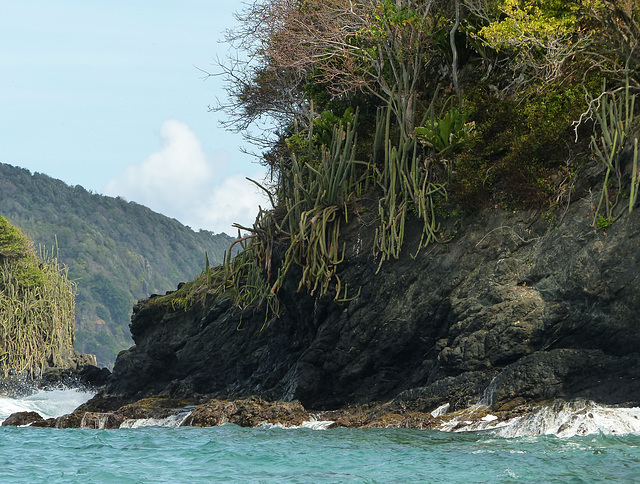 Little Tobago trip, Day 3