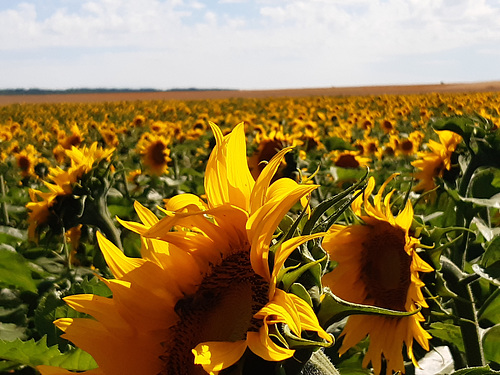 Le retour du soleil