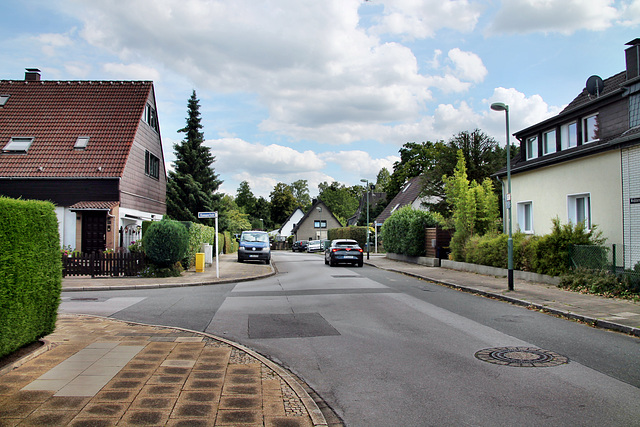Weißdornweg (Essen-Bredeney) / 6.07.2023