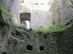 Castell Cas-gwent / Chepstow Castle