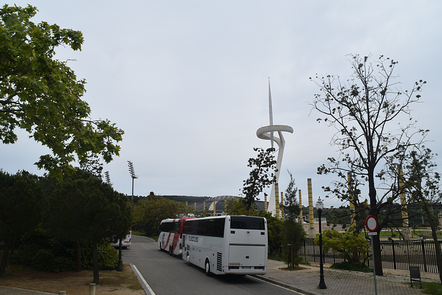 DSC 0635