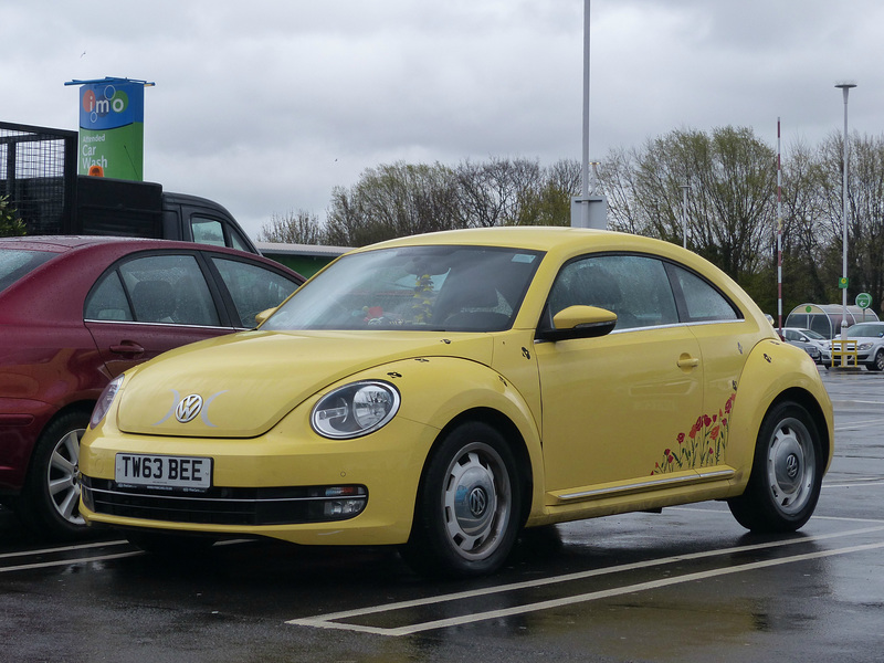 Bumble Beetle - 4 April 2019