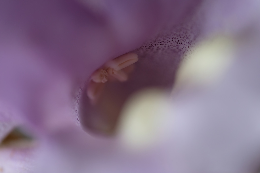 DSCF5748