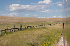 snow fence