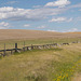 snow fence