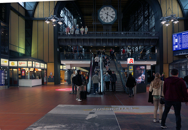 HH Hauptbahnhof, Vorhalle