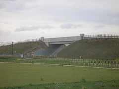 Cambridgeshire Guided Busway - 17 Jul 2011