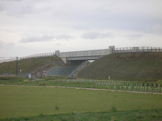 Cambridgeshire Guided Busway - 17 Jul 2011