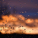 Raindrops on a window at sunset