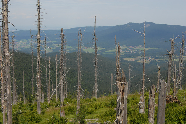 Arbergebiet und Blick zum Osser