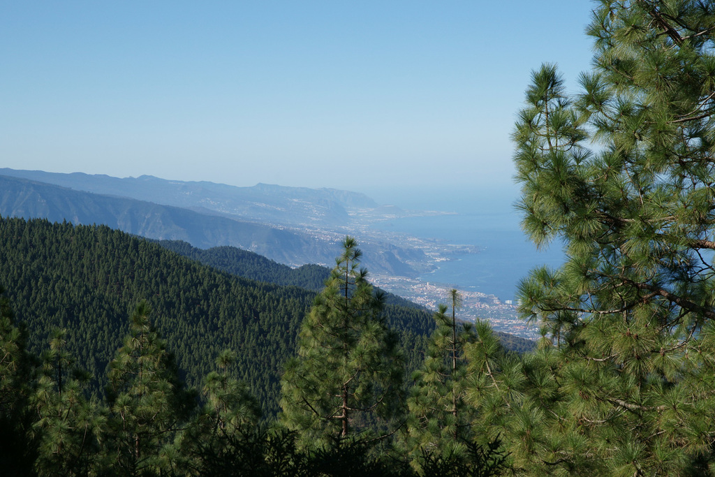 View Over Tenerife