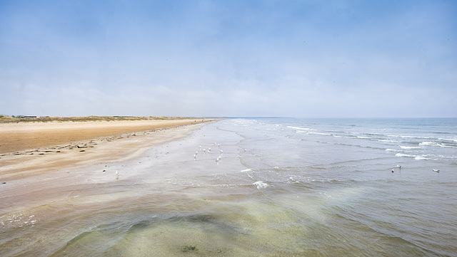 West Sands (The "Chariots of Fire" Beach)