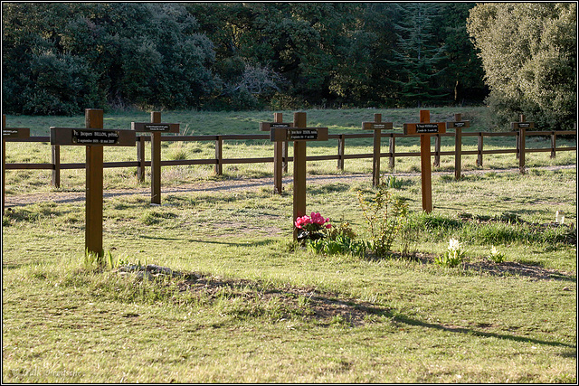 Klosterfriedhof