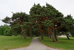 Pärnu rannapark (© Buelipix)