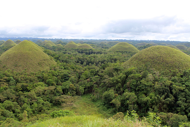 The Chocolate Hills