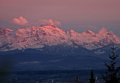 Der Säntis im Abendrot