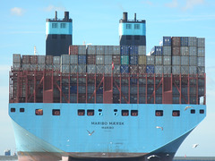 Heckansicht der MARIBO MAERSK