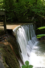 am Wildbach bei Embrach (© Buelipix)