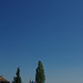 BÖ0036303