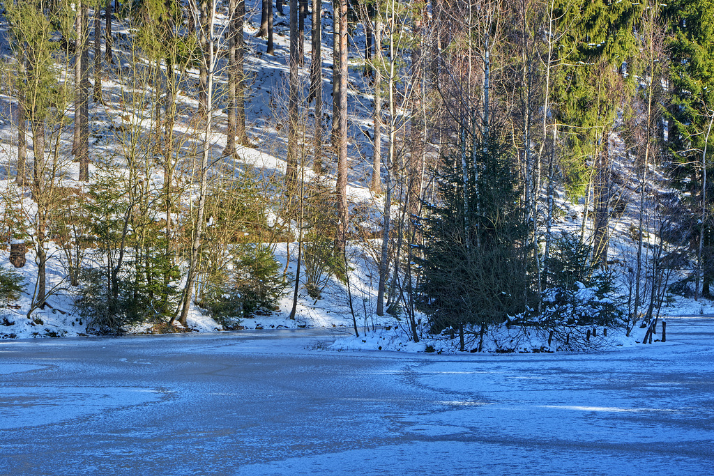 Teich im Christelgrund