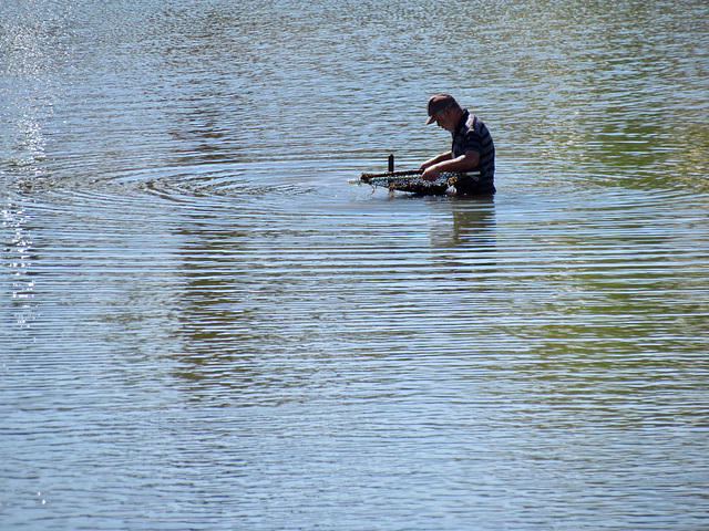 Sifting for seafood, Rio Gilão from Ponte Romana, Tavira (2015)