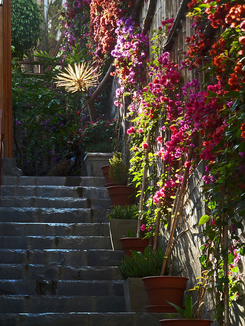 Die sichere Treppe - Lunahuana- Perú