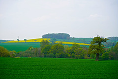 Staffordshire countryside