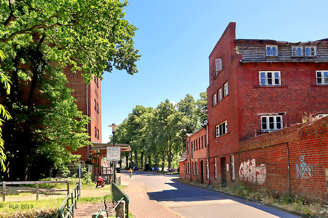 Neubukow, Wassermühle 2019