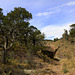 Boot Canyon Trail