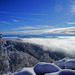 Zürich /Auf dem Uetliberg