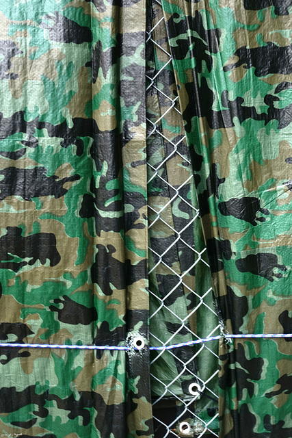 Fenceouflage