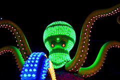 Leidens Ontzet 2017 – Funfair – Octopus