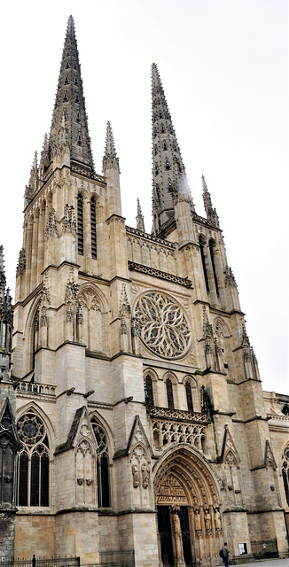 Cycling from Bordeaux Vineyards to the Atlantic Coast /Bordeaux