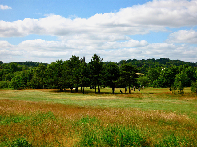 Penn Common Golf Course