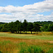 Penn Common Golf Course