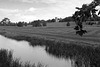 Landscape at Croome Park