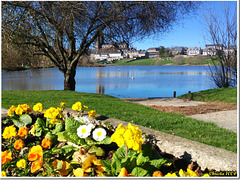 Bonjour printanier depuis le lac.