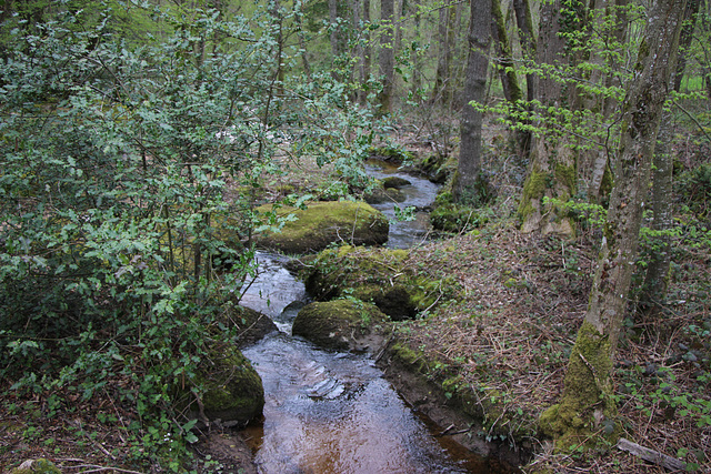 PARC DES PARELLES CREVANT