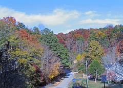 Fall in Rural Alabama