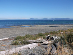 Débris de plage rugueuse / Detriti spiaggia ruvida