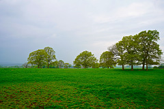 Keele University fields