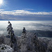 Zürich /Auf dem Uetliberg