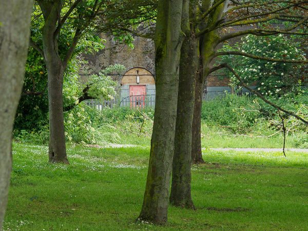 Door through the trees