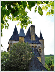 Le château de Clérans à Saint-Léon- sur -Vézère (24)