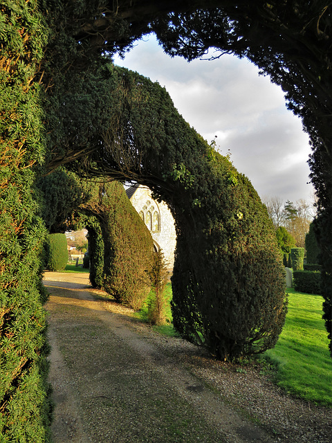 mere cemetery, wilts, mid c19 chapels and yew topiary (2)