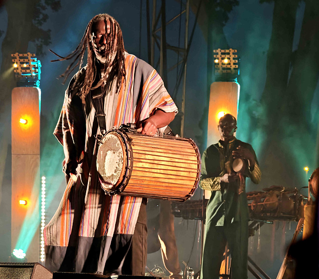 Carcassonne - Tiken Jah Fakoly Carcassonne - Tiken Jah Fakoly