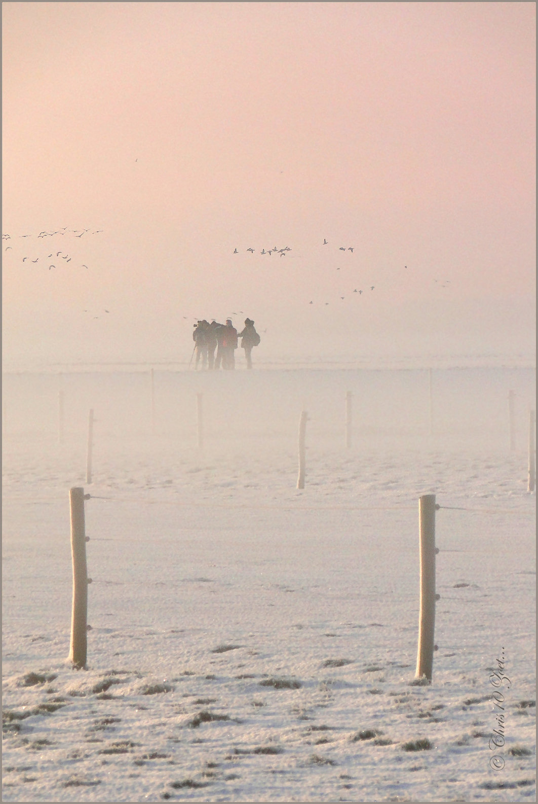 The Birdwatchers on HF-Friday :-)