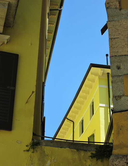 Limone e azzurro.