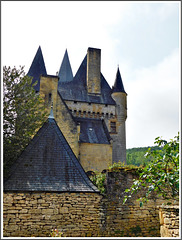 Le château de Clérans à Saint-Léon- sur -Vézère (24)