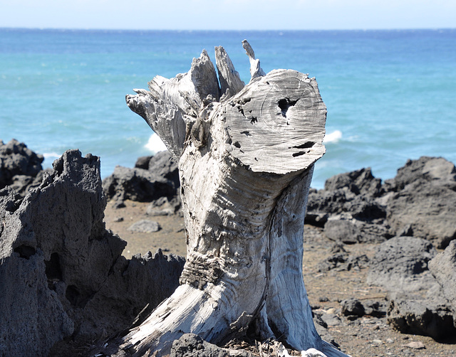 Au sud de l'étang Salé